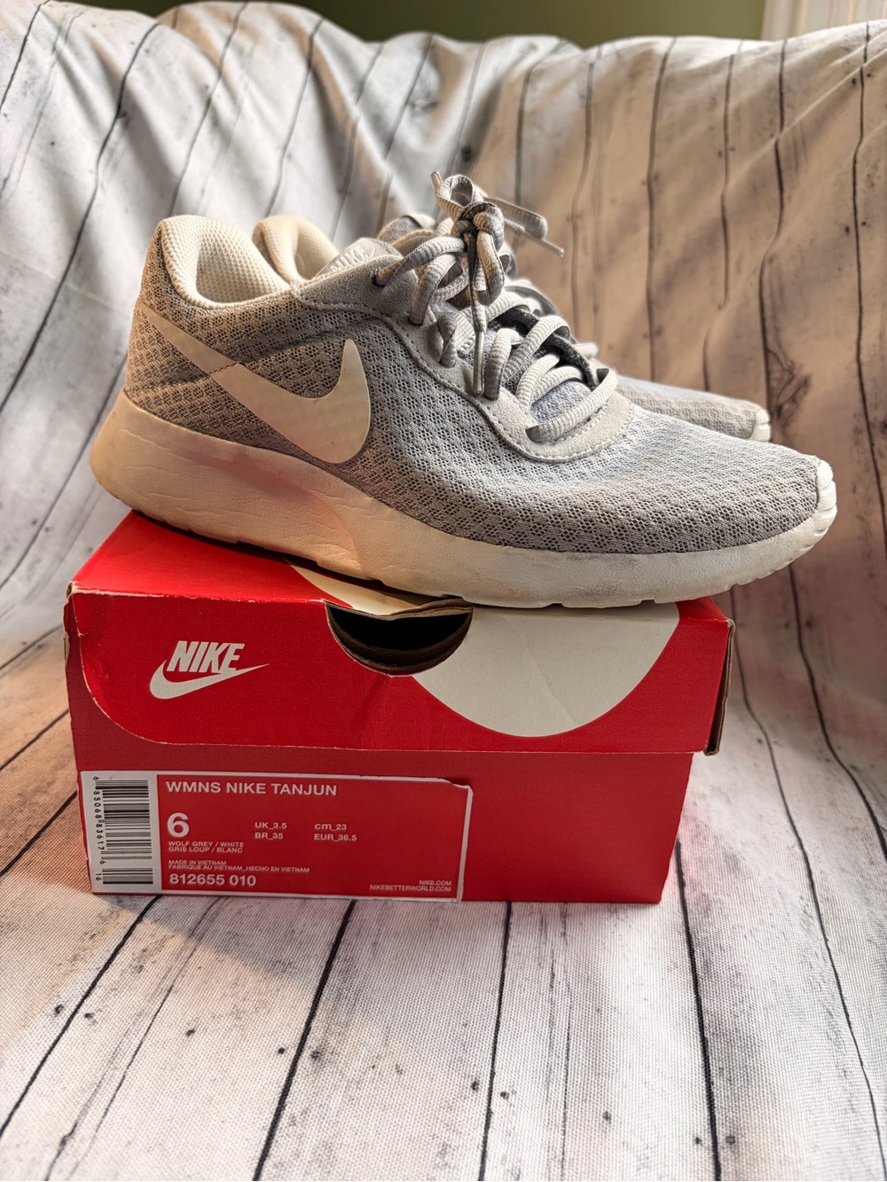 Nike Tanjun Lightweight Running Shoes - Light Gray
